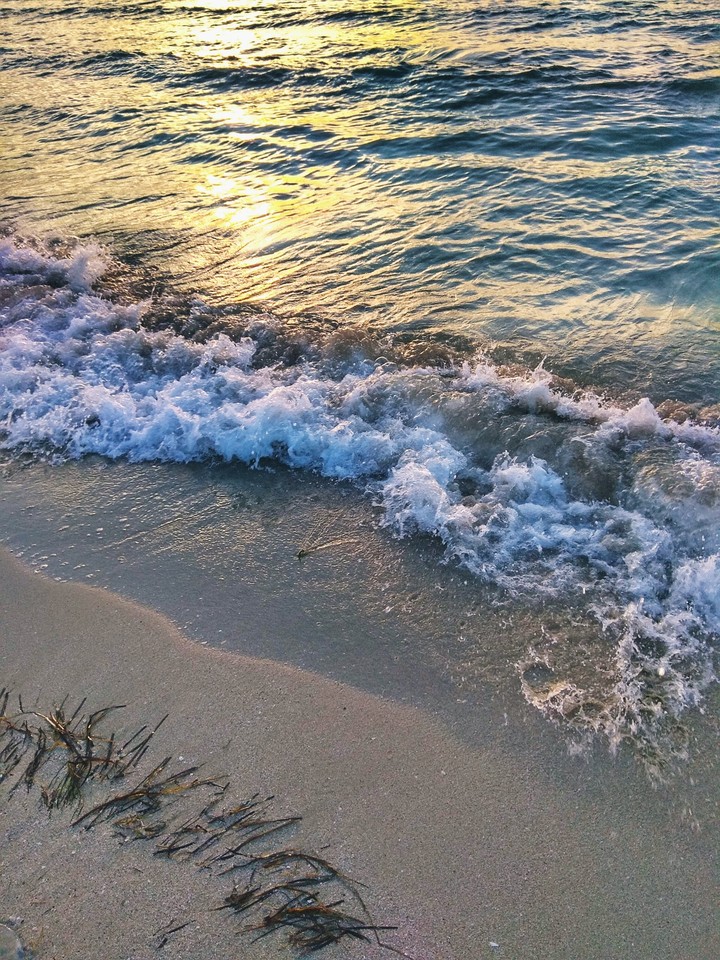 sea