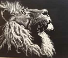lion