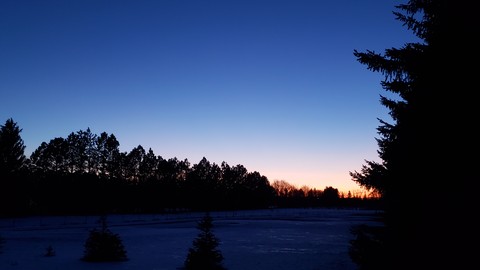 sunset, plant háttérképek