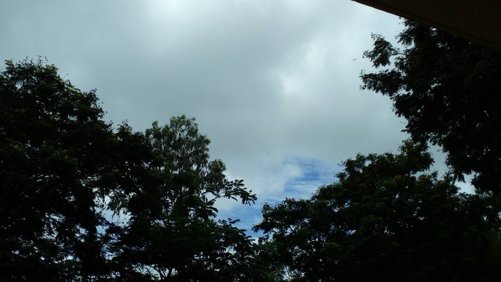 nice weather