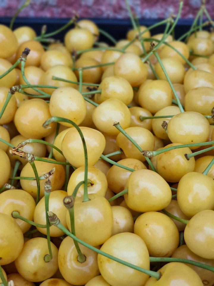 yellow cherries