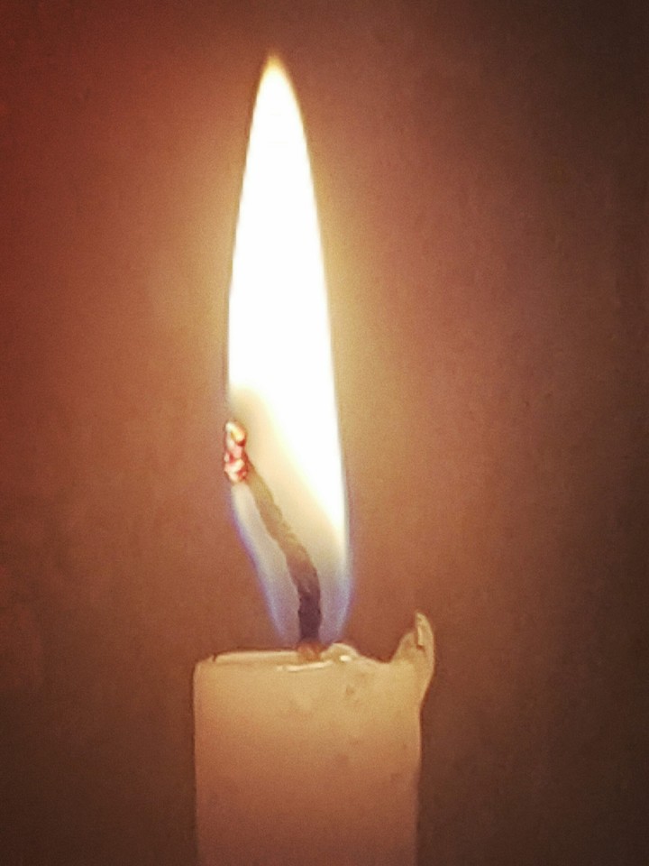 Luz