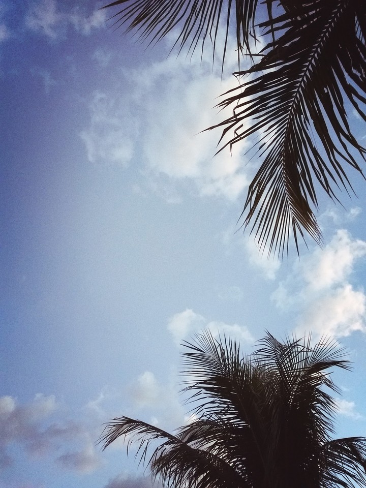 Wake up under a blue sky