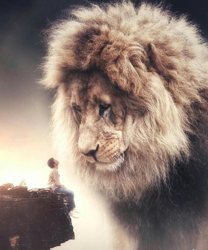 lion with boy