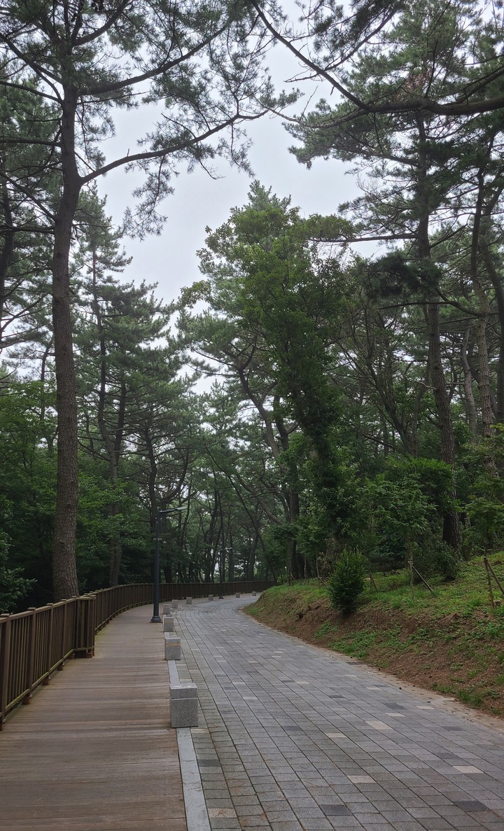 산책