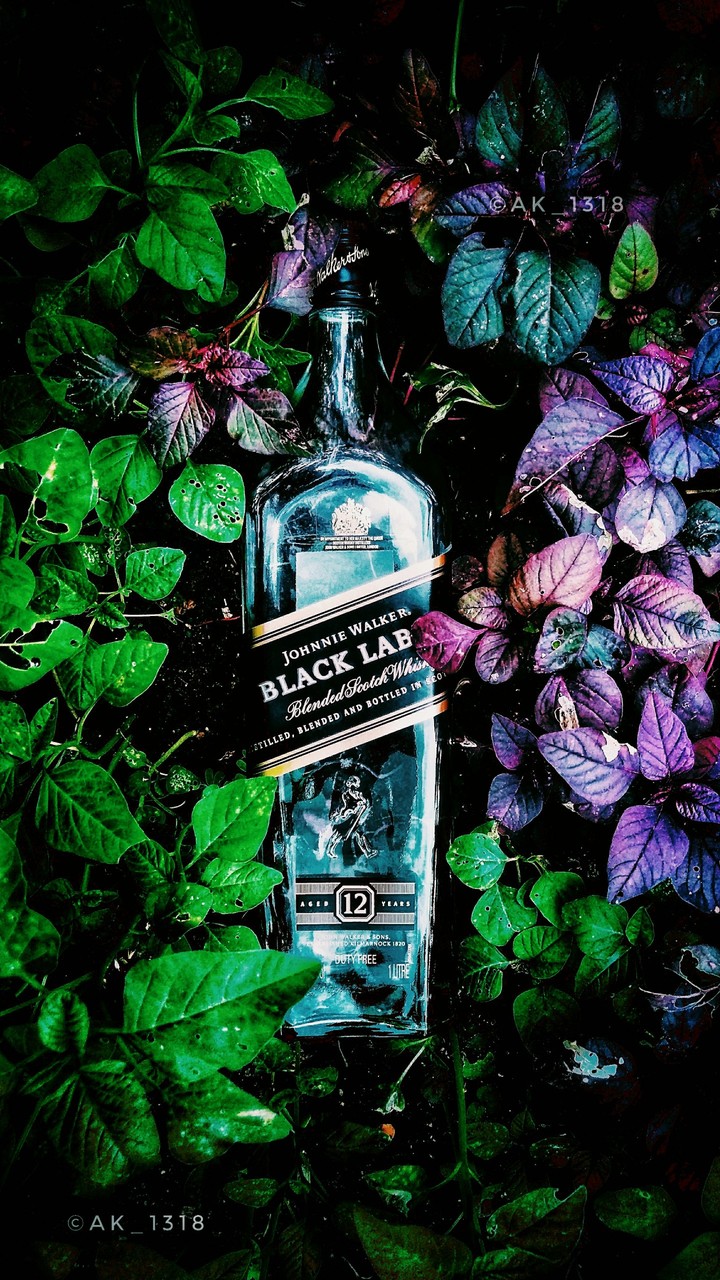 empty bottle