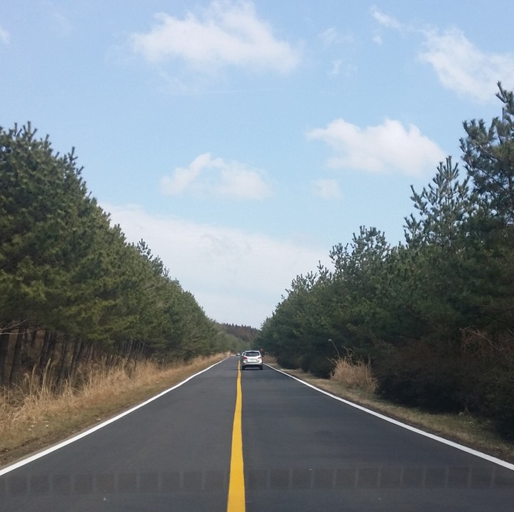 Driving view