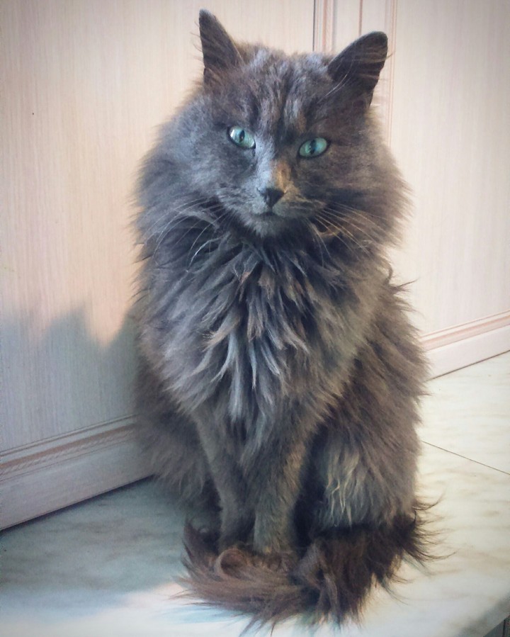 myu