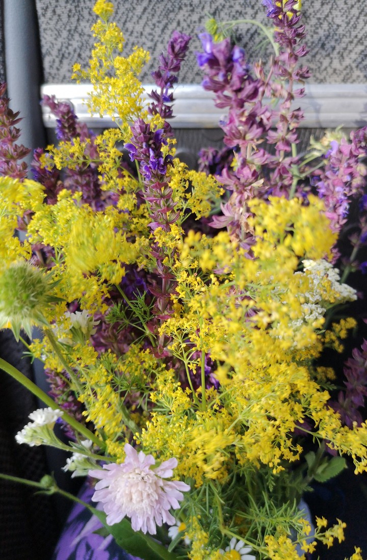 fields flowers