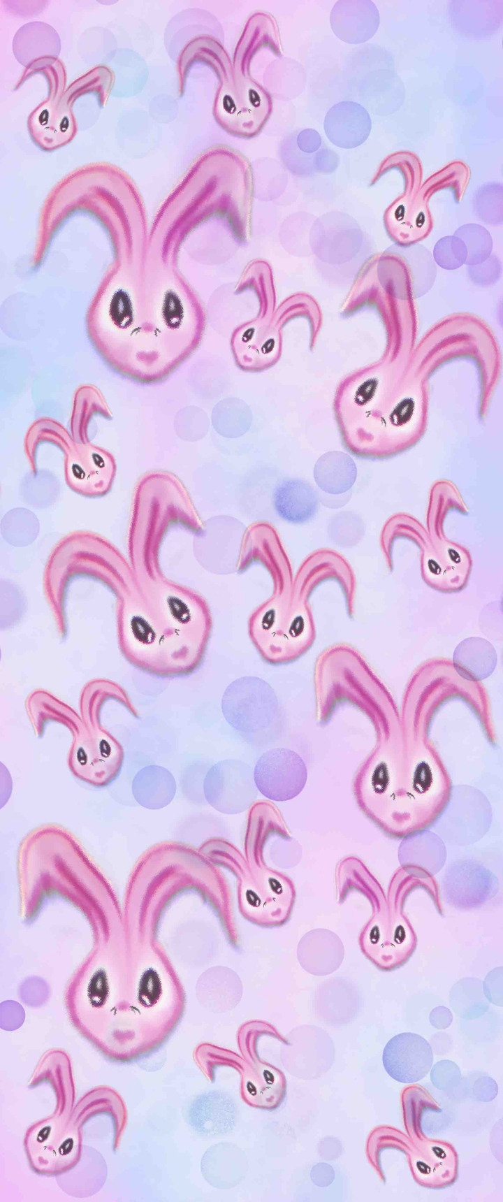 rabbits