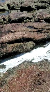 mazatlán Sinaloa México