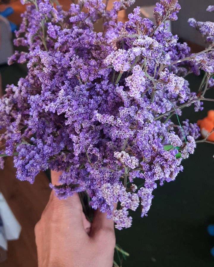 Полевые цветы