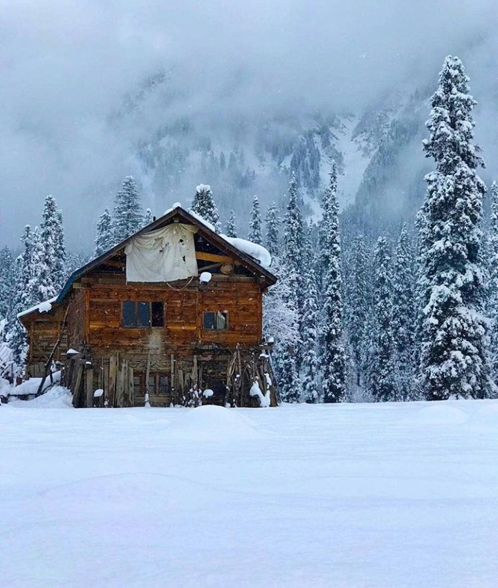 winter