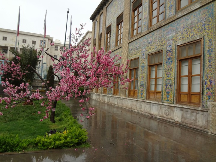 tree