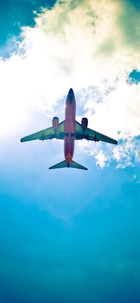 flight(*^_^*)