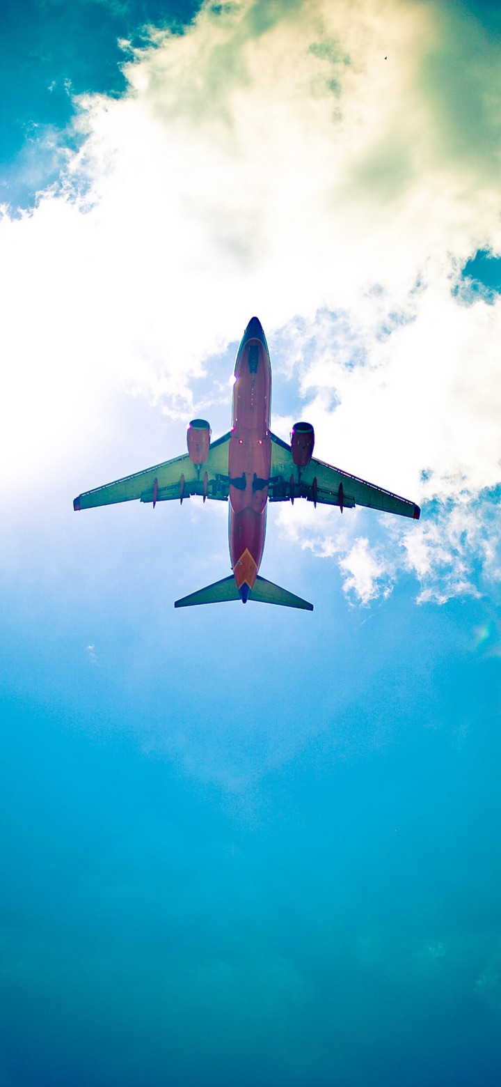 flight(*^_^*)