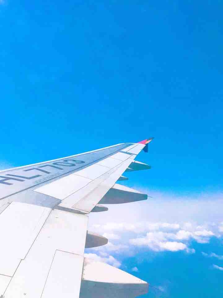 제주도 비행기