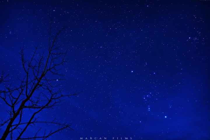 stars