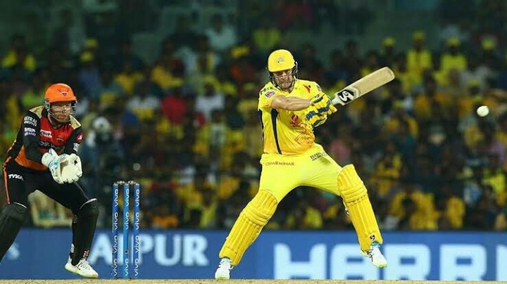 shane watson
