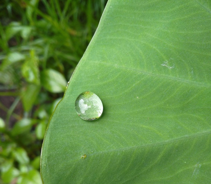 droplet