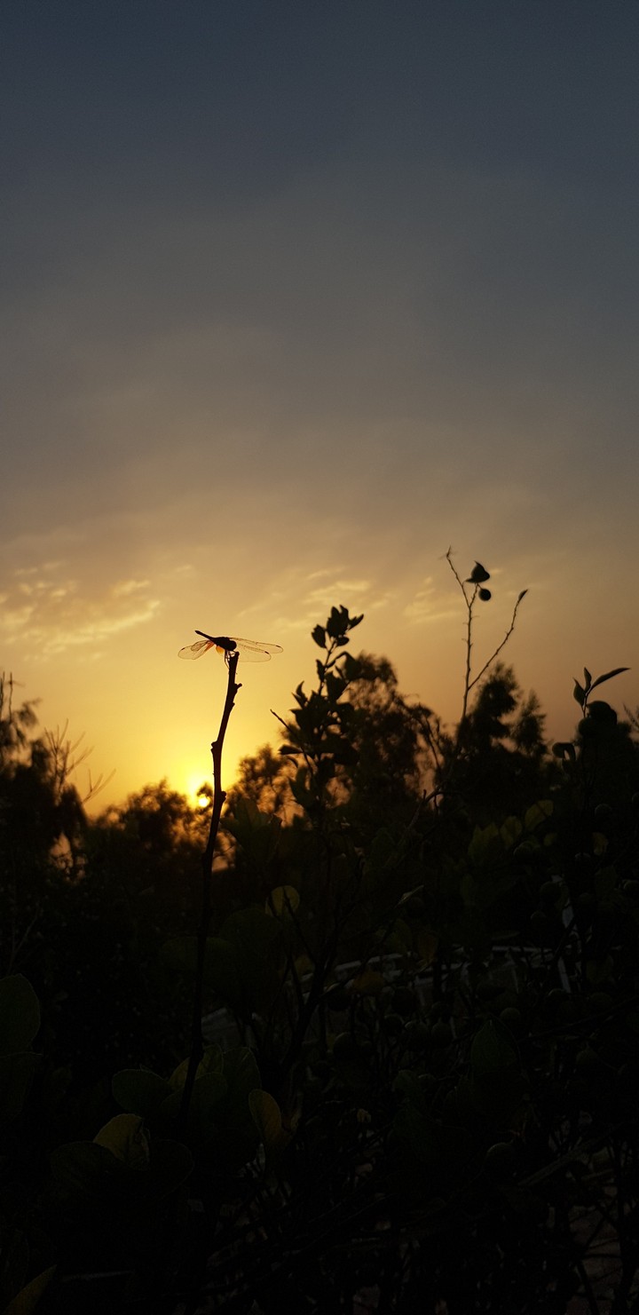 beautiful sunset