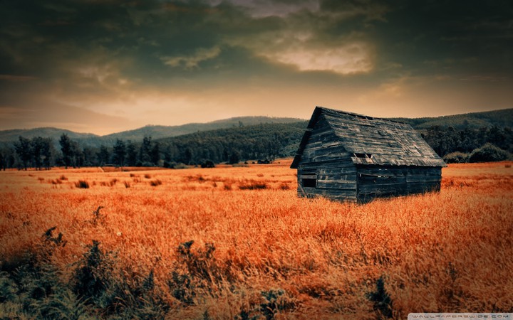 House on Field