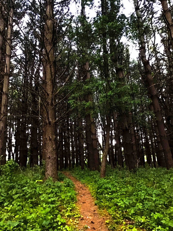 Beaten Path