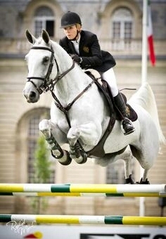 beautiful hors. reachings