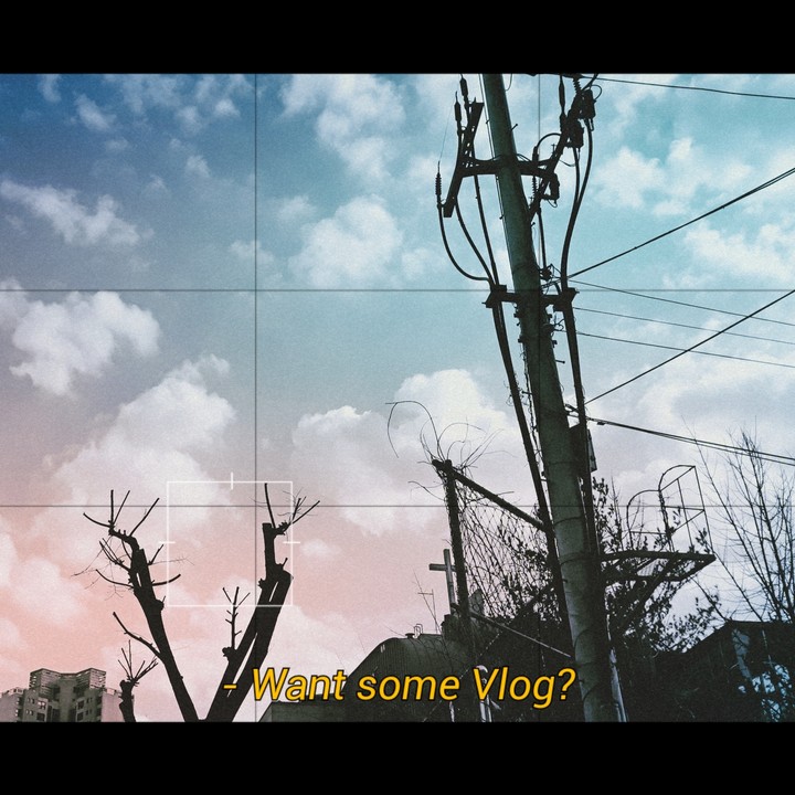 Vlog