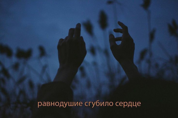 цитата