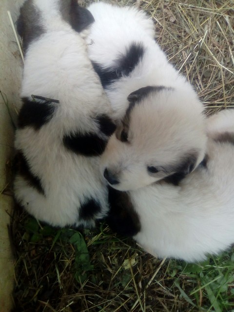 So cute