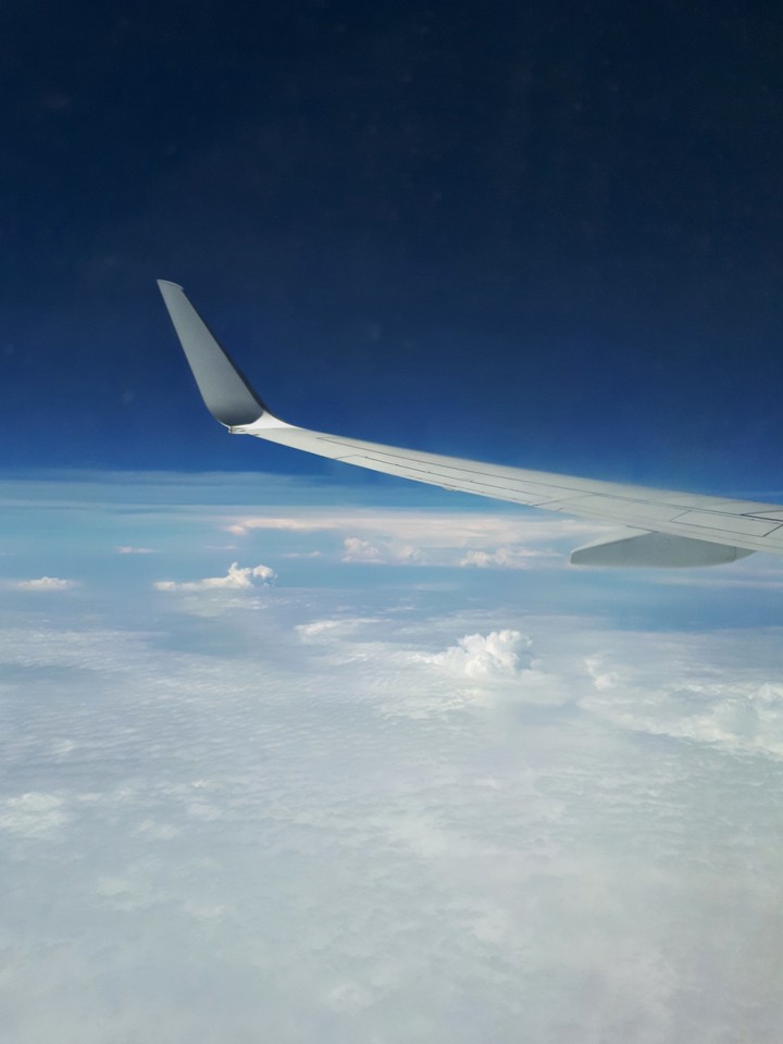 Above the world
