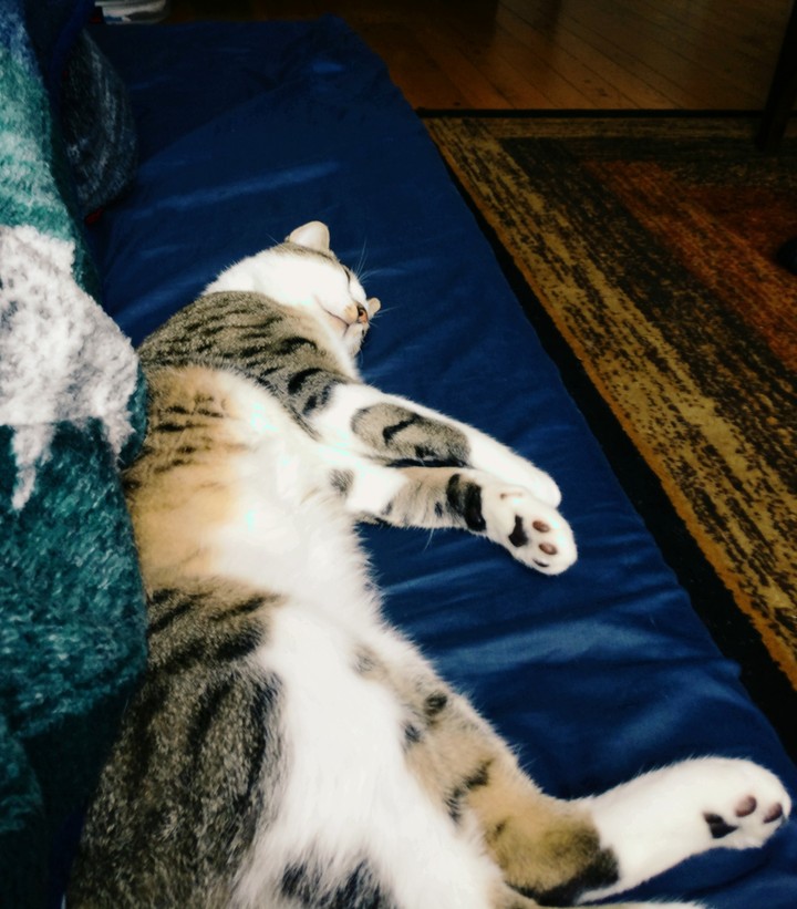 5moreminutes