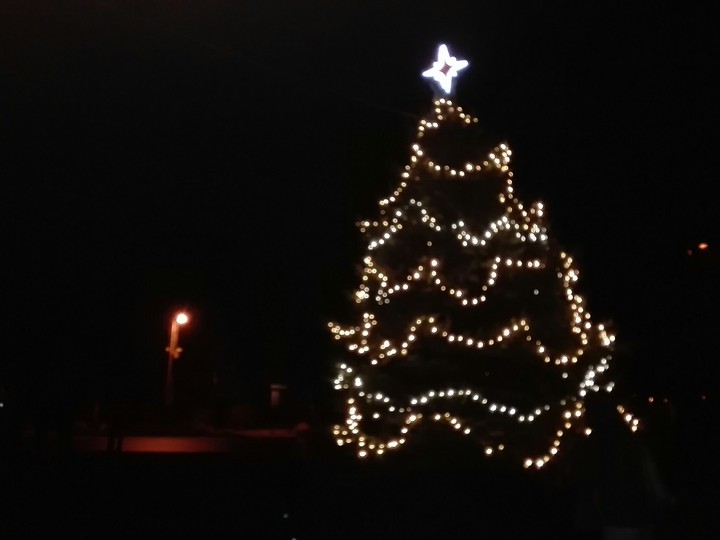 tree