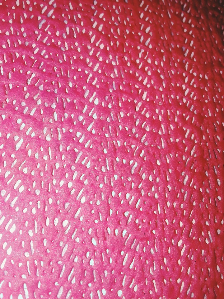 Grip
