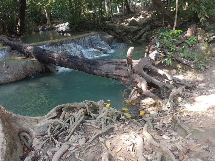 Cascade