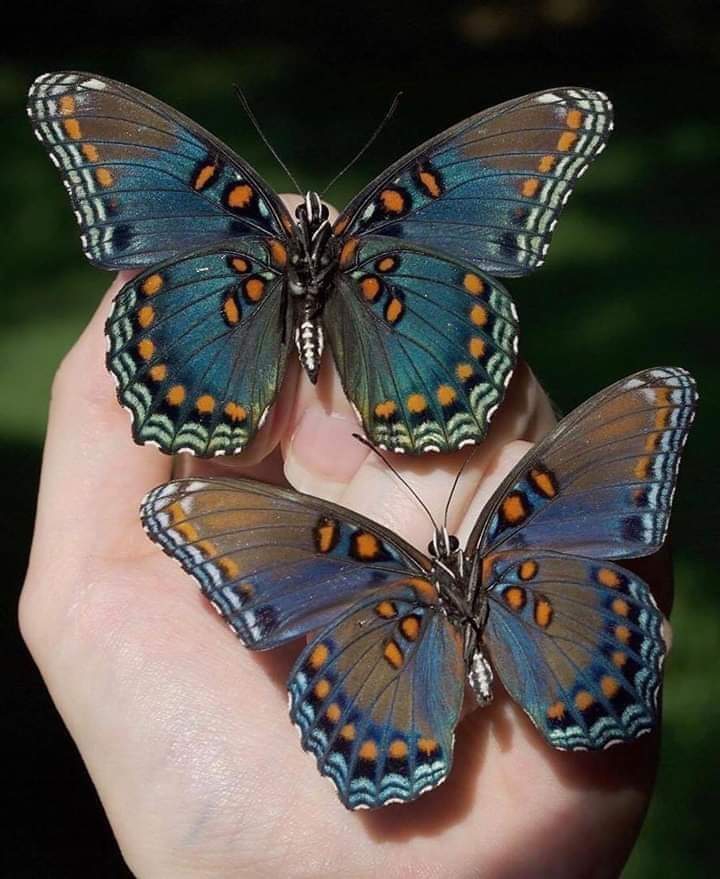❤❤