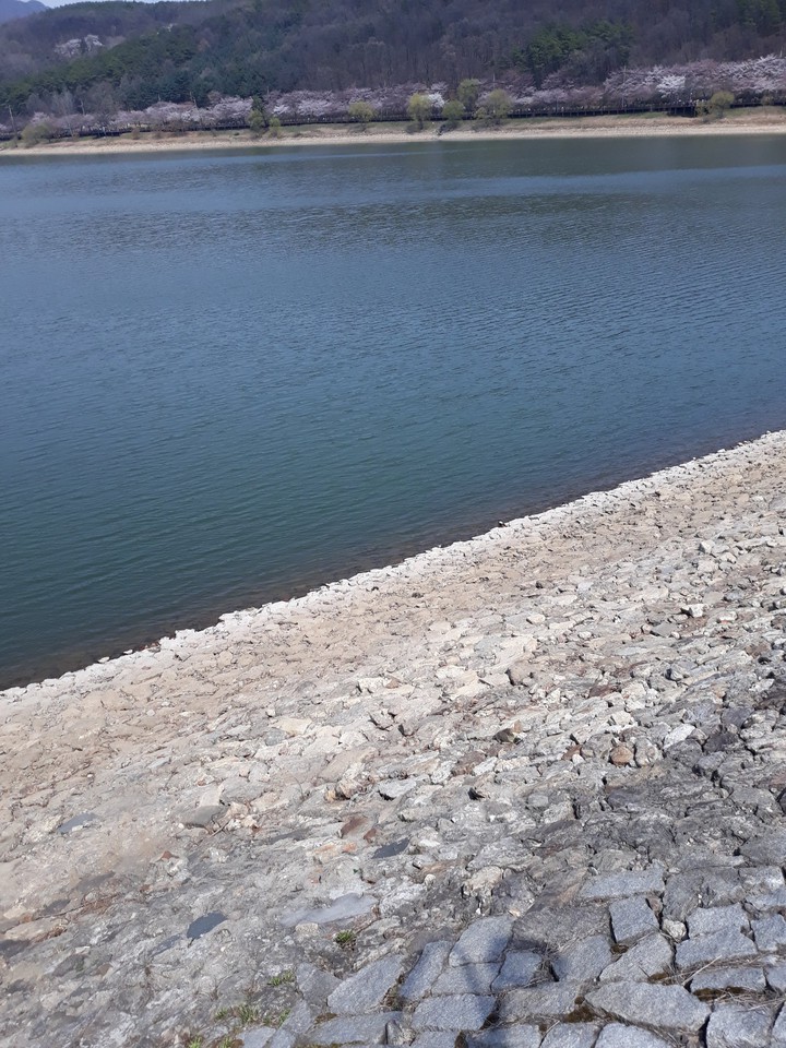 lake?