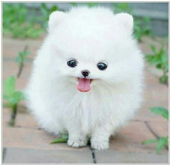 cutooooo