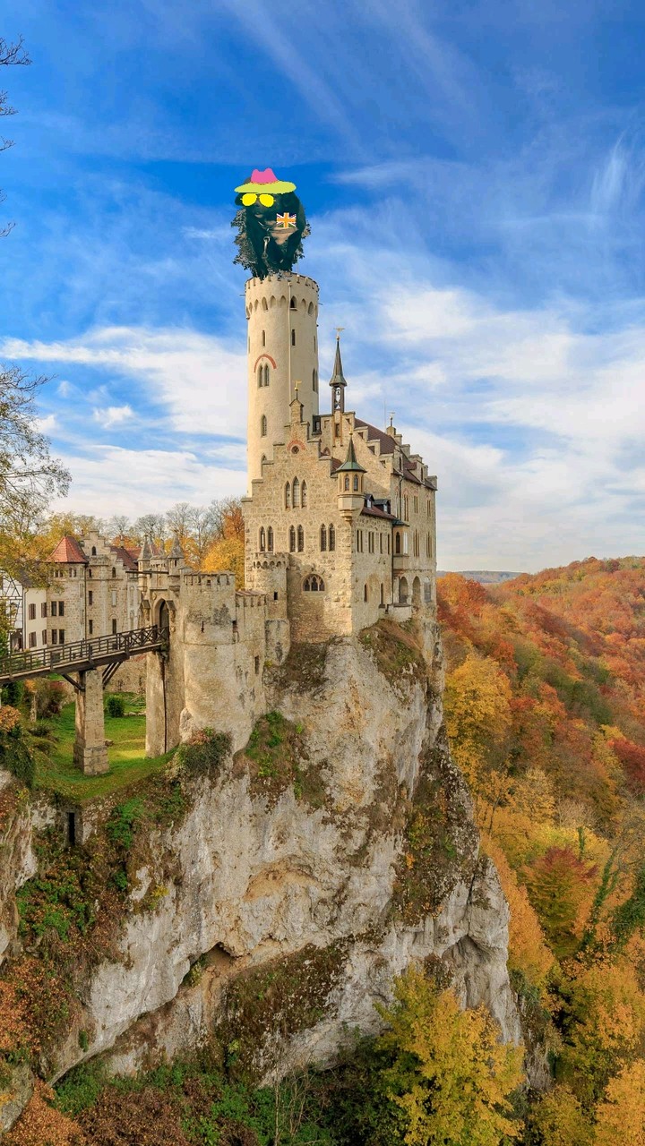 '' dog in the Tower ''