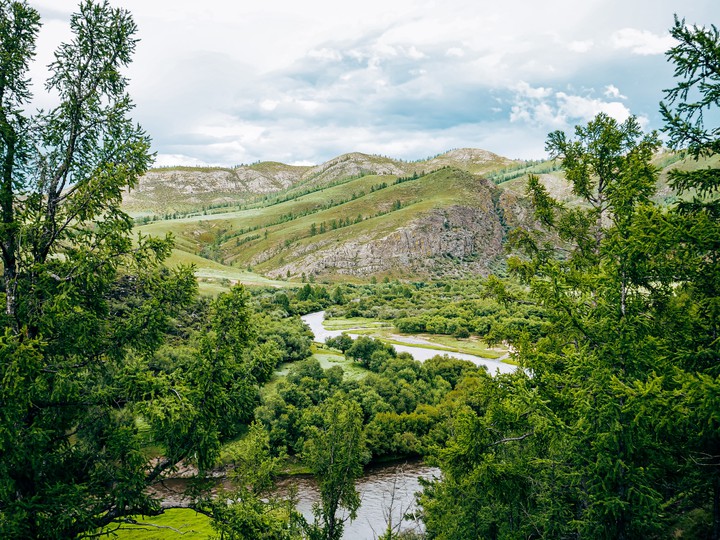 Mongolian nature