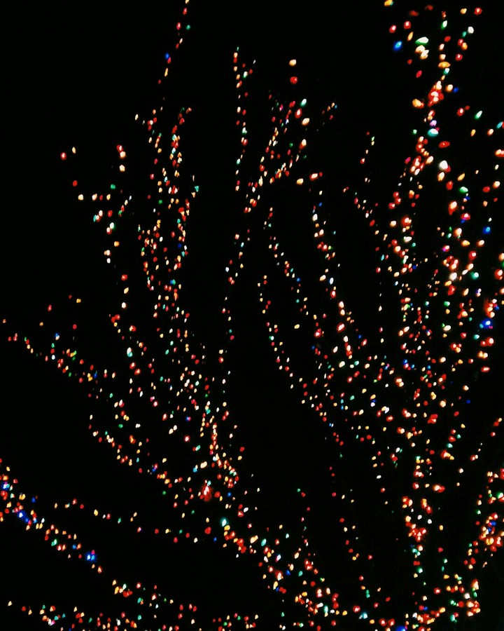 Christmas Lights