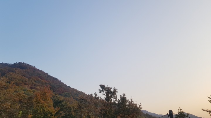 자연의 풍경