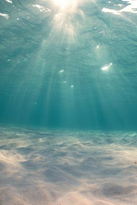 sea