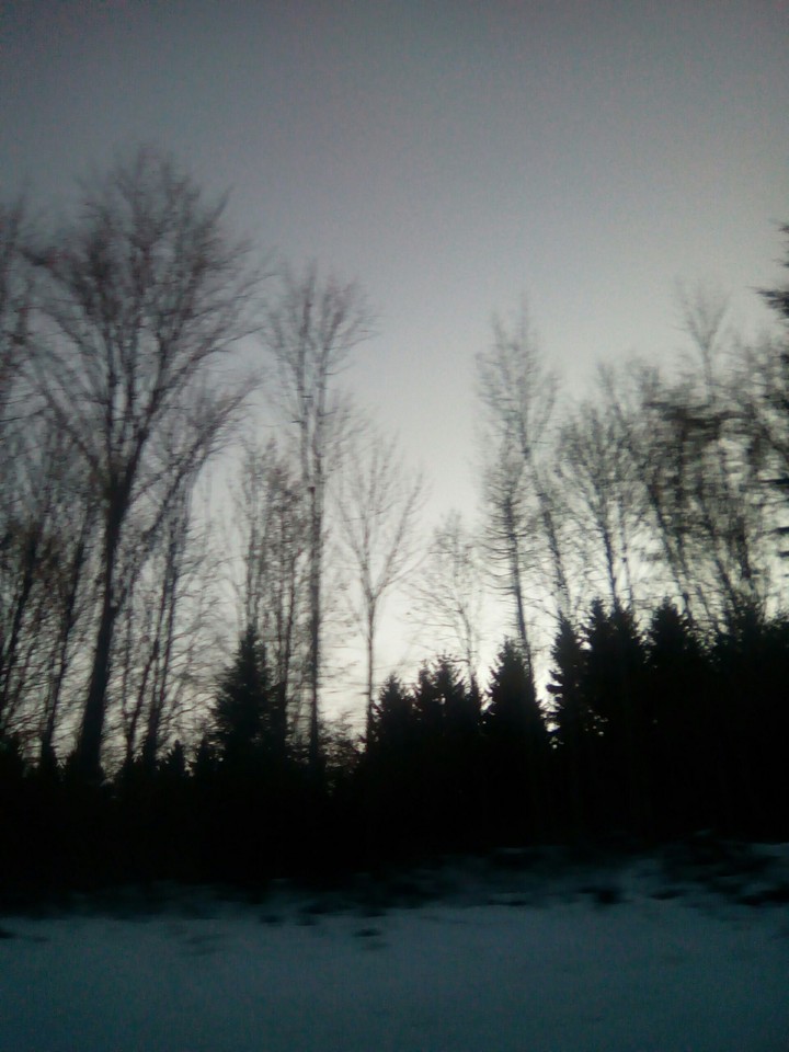 nature