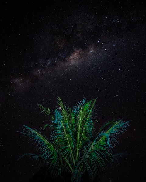 hình nền darkness, nature