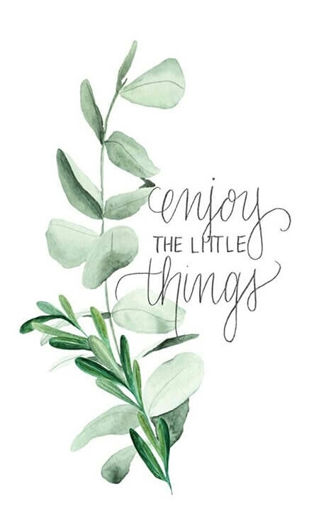 enjoy the little things.