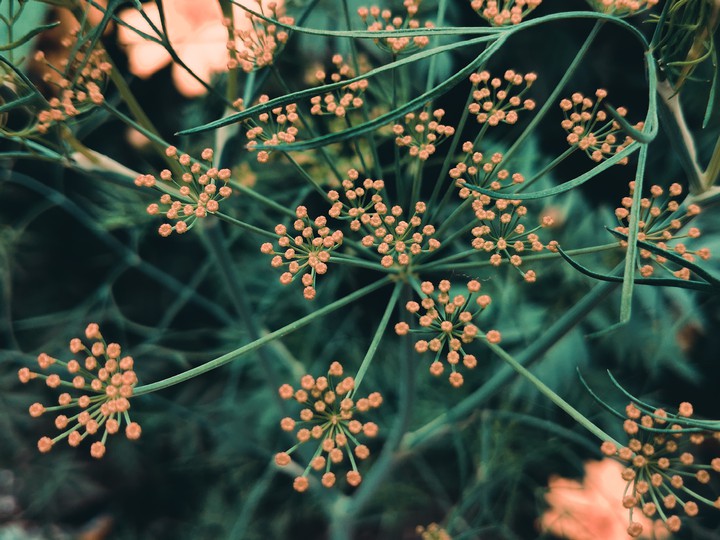 Natural beauty
