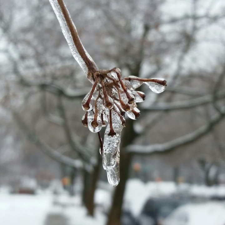 Melting Ice