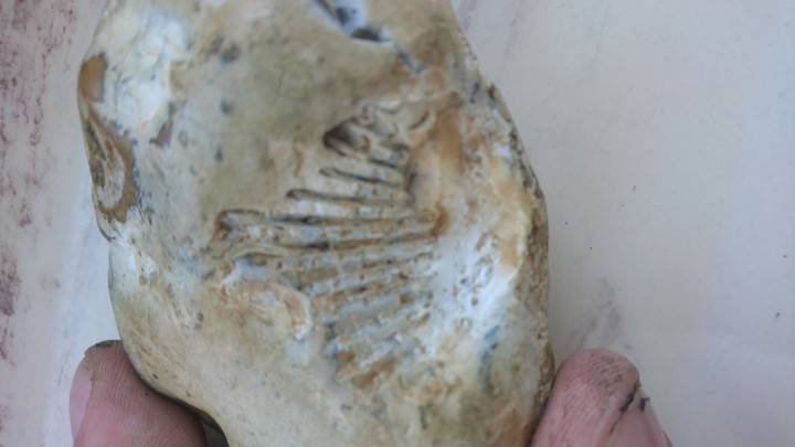 kiedyś znalezione